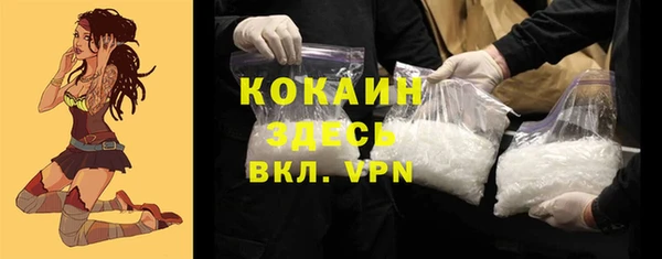 хмурый Алексин