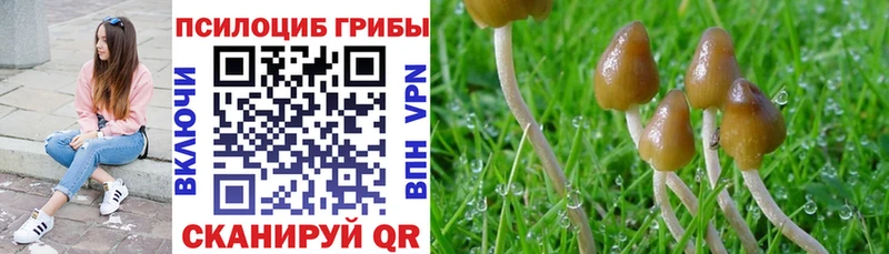 Галлюциногенные грибы Magic Shrooms Переславль-Залесский