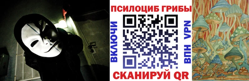 купить цена Переславль-Залесский Псилоцибиновые грибы прущие грибы