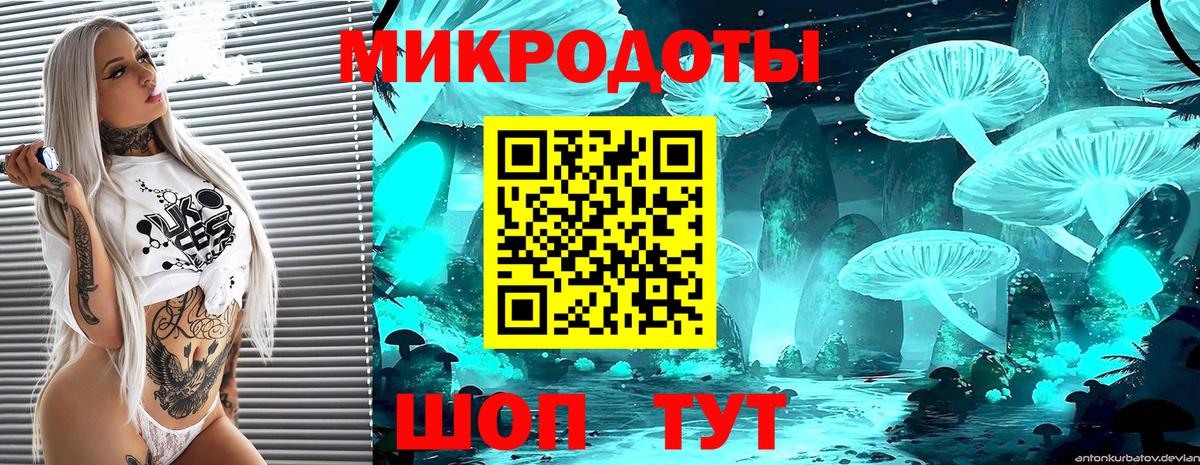 Псилоцибиновые грибы Psilocybe  Вход с VPN  Переславль-Залесский 