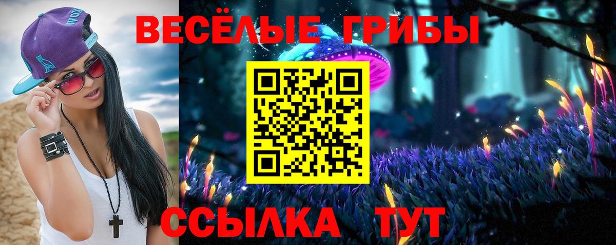 Псилоцибиновые грибы мицелий Переславль-Залесский